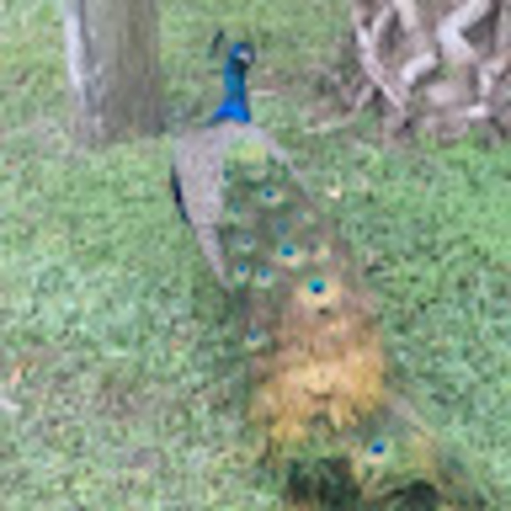 Meet your Posher, Brenna